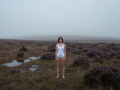 Foggy Moorland — Heather, Peat, Dense Fog