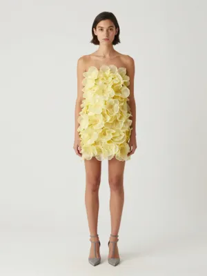 Floral Mini Dress — Yellow Organza Petals